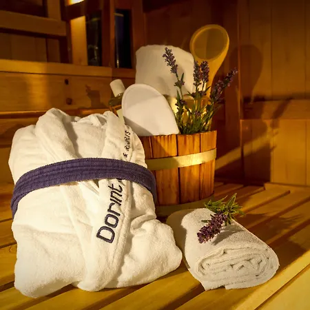 호텔 도린트 콩그레스호텔 4*