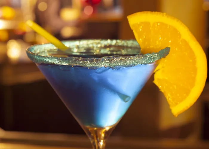 호텔 도린트 콩그레스호텔